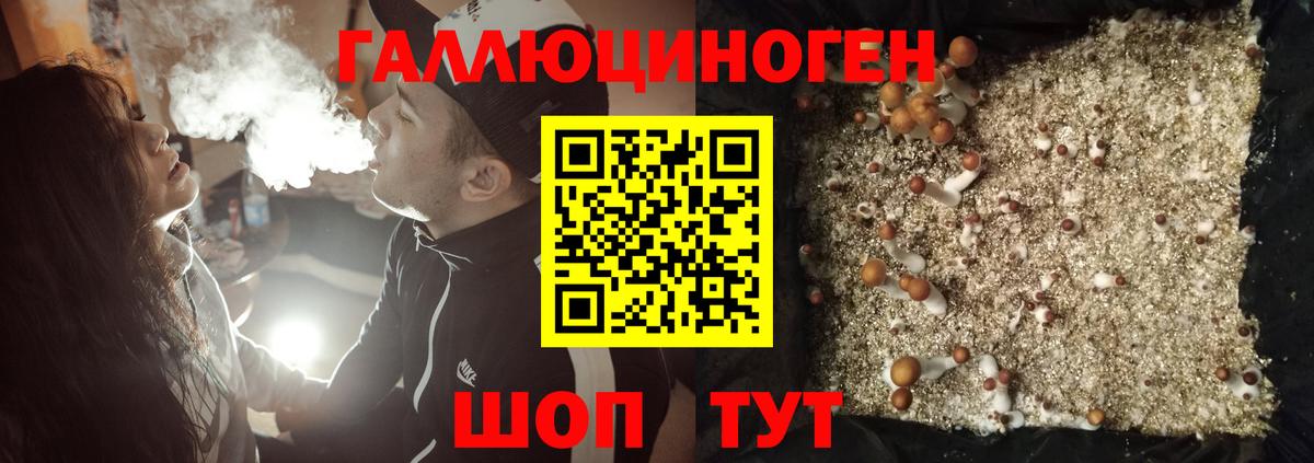 Псилоцибиновые грибы MAGIC MUSHROOMS Мыски