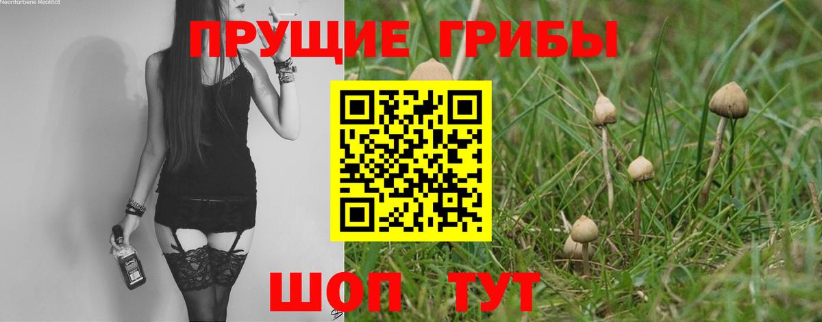 Мыски  Галлюциногенные грибы Magic Shrooms  купить наркотик  Вход с VPN 