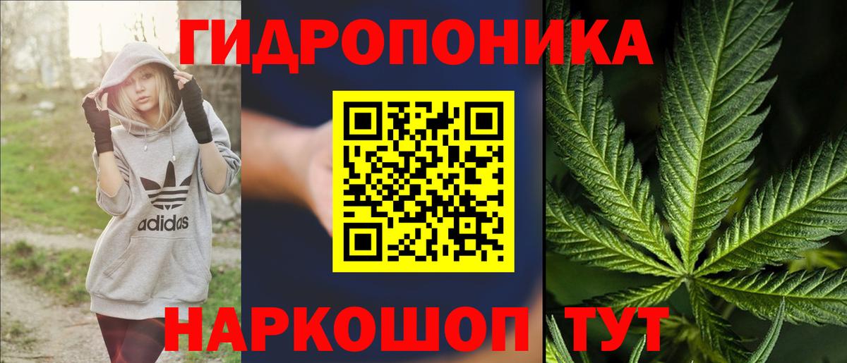 Мыски  Марихуана гибрид  Вход с VPN  Шишки марихуана SATIVA & INDICA 